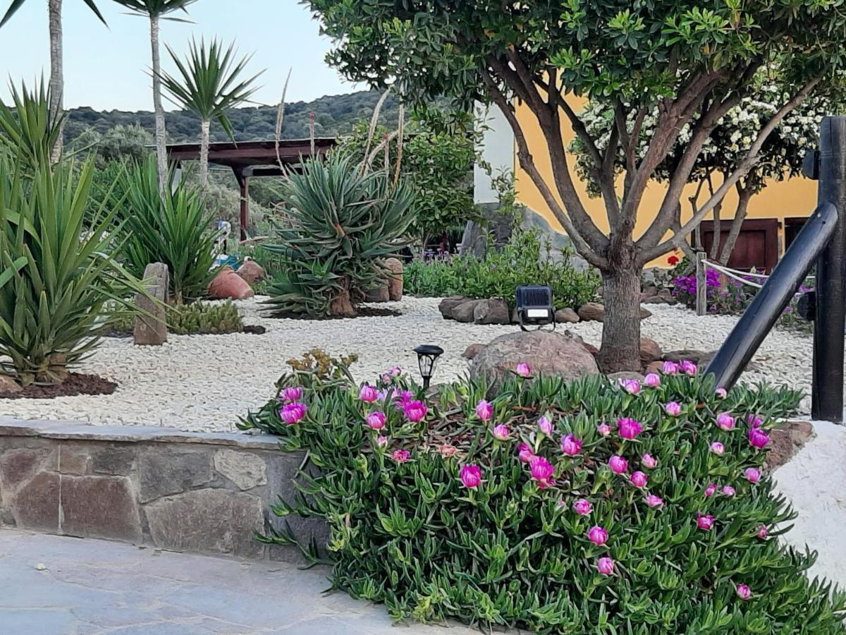 Villa Saige , Piscina Con Idromassaggio Alghero Eksteriør billede