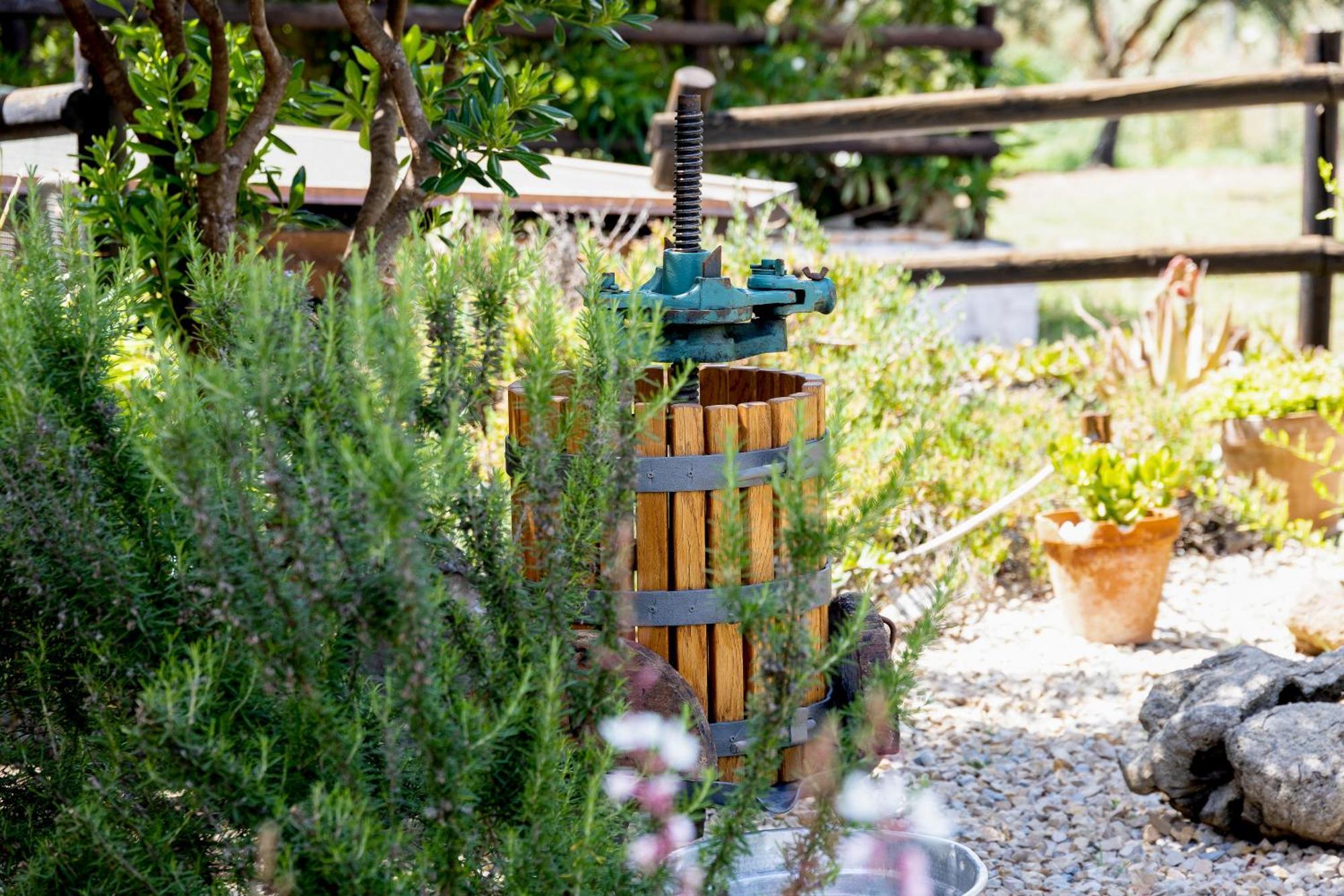 Villa Saige , Piscina Con Idromassaggio Alghero Eksteriør billede